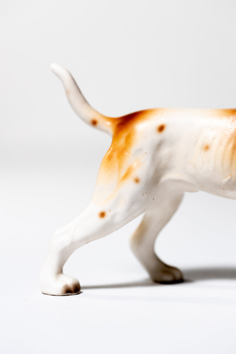 Pointer (Brown & White)