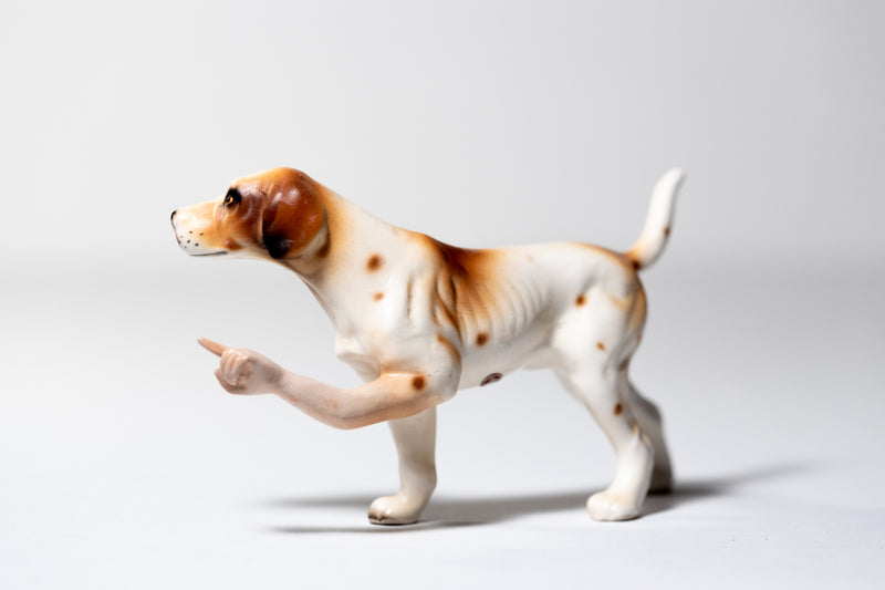 Pointer (Brown & White)