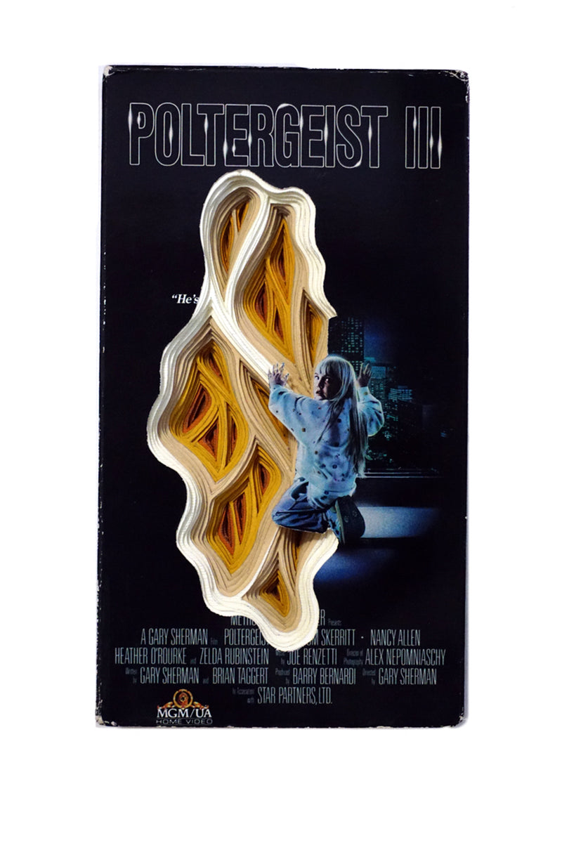 Poltergeist III