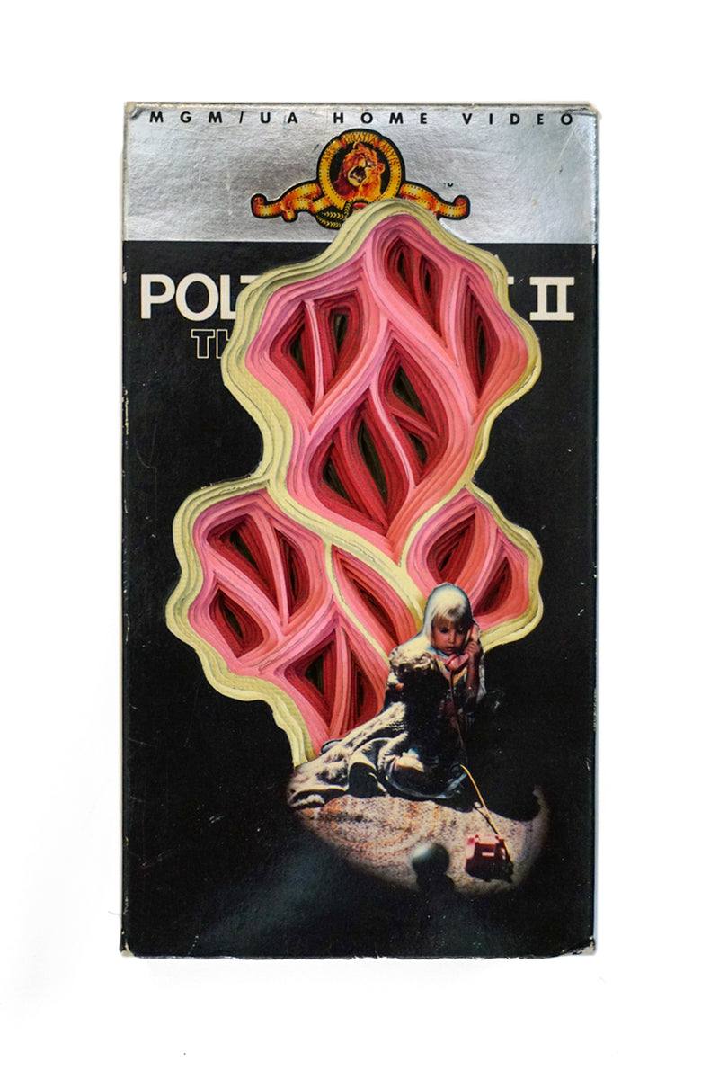 Poltergeist II: The Other Side #1