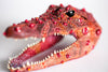 Pomegranate Gator