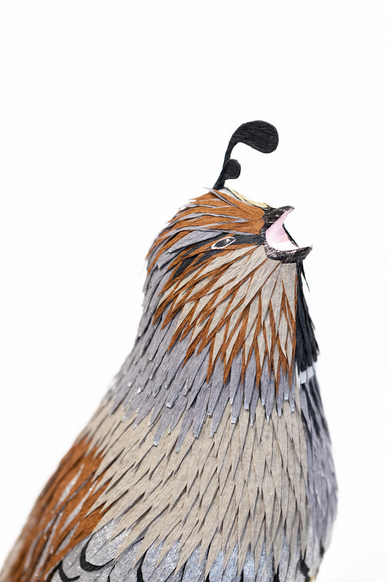 Gynandromorph No.5 (California Quail)