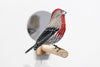 Gynandromorph No. 7 (House Finch)