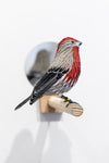 Gynandromorph No. 7 (House Finch)