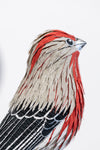 Gynandromorph No. 7 (House Finch)