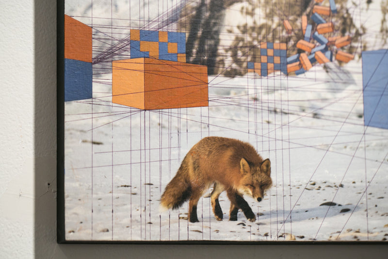 Remembering the Red Fox