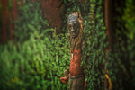 Remnants of Time