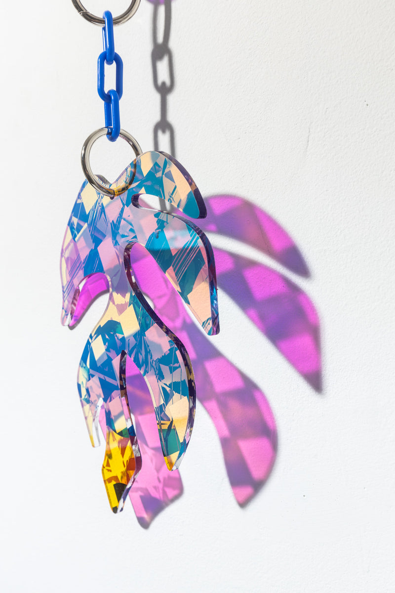 Rhaphidorpha Tertasperma Suncatcher