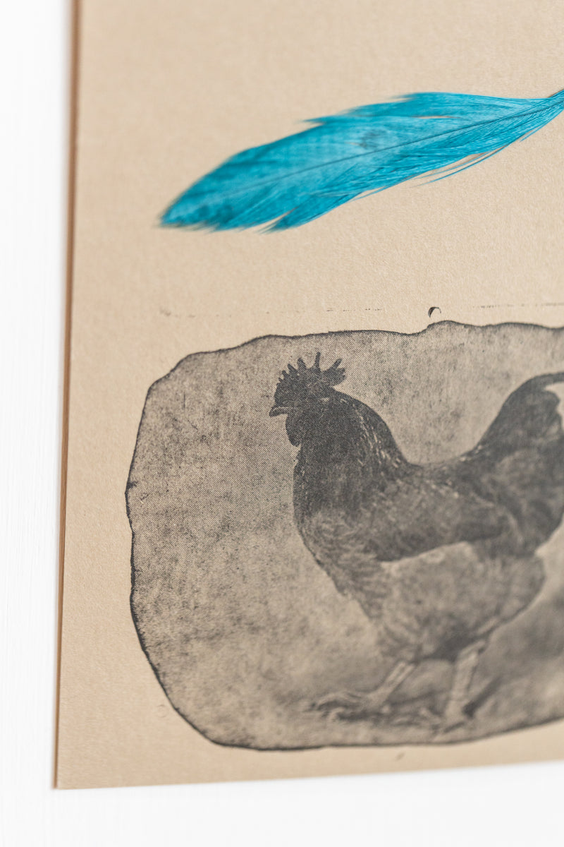 Rooster Totem (framed)