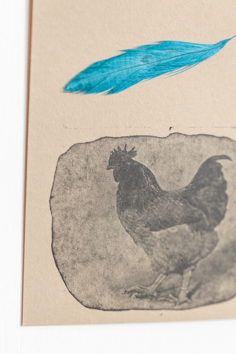 Rooster Totem (framed)