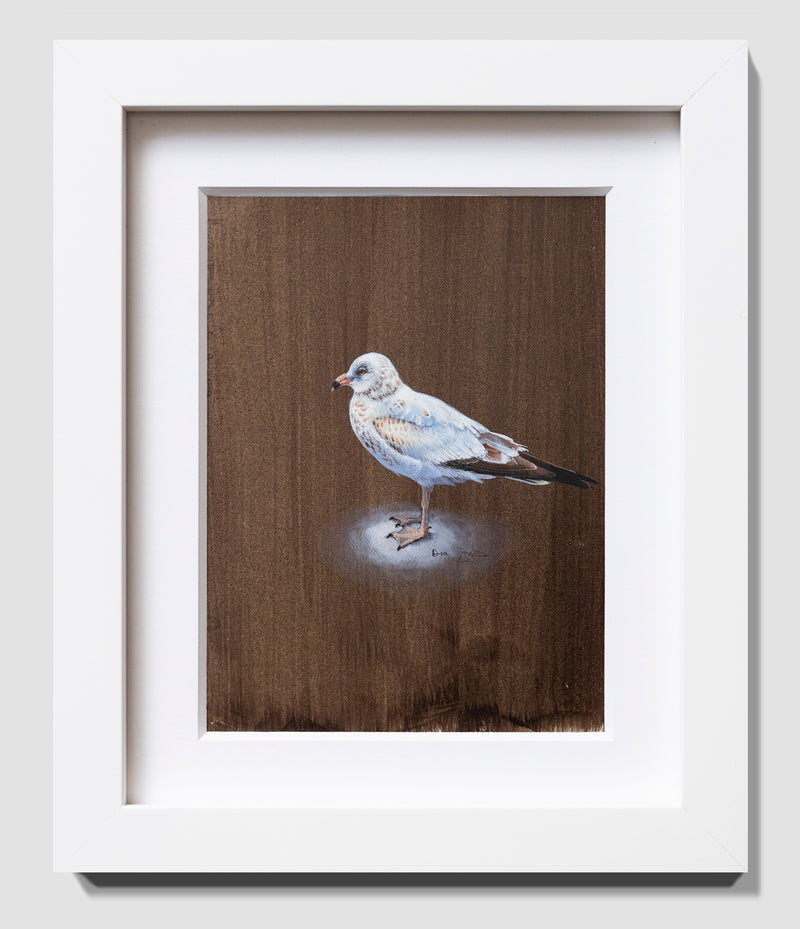 Seagull