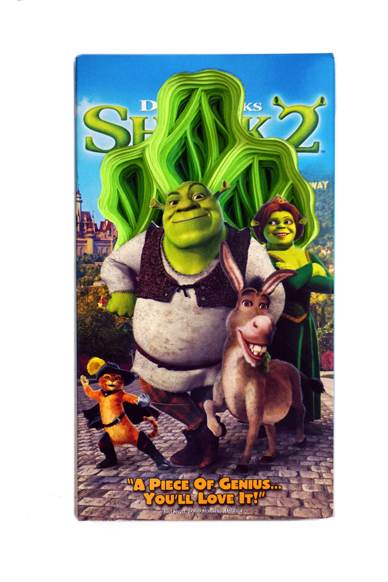 Shrek 2 #2