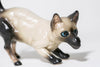 Siamese Horse Cat