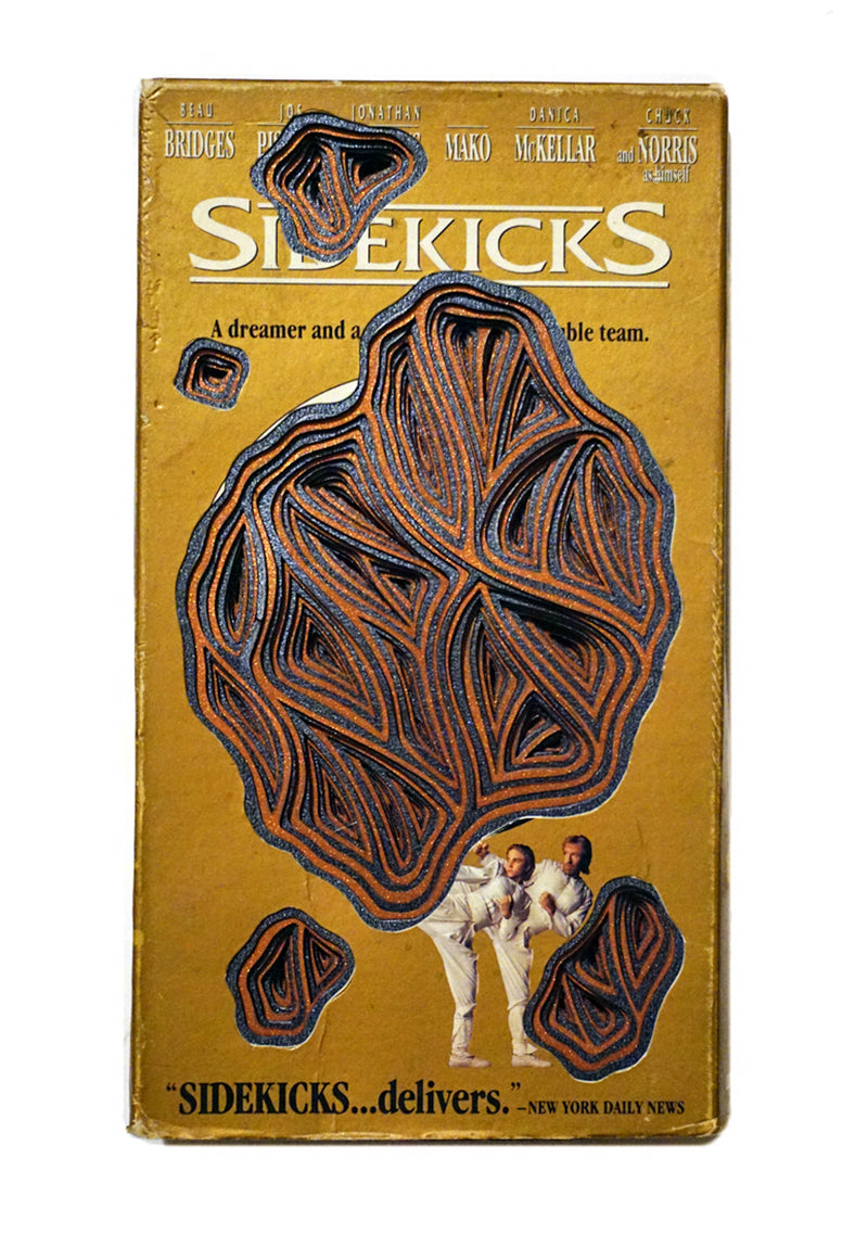 Sidekicks