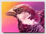 Sparrow #1