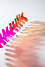 Squiggly Fern