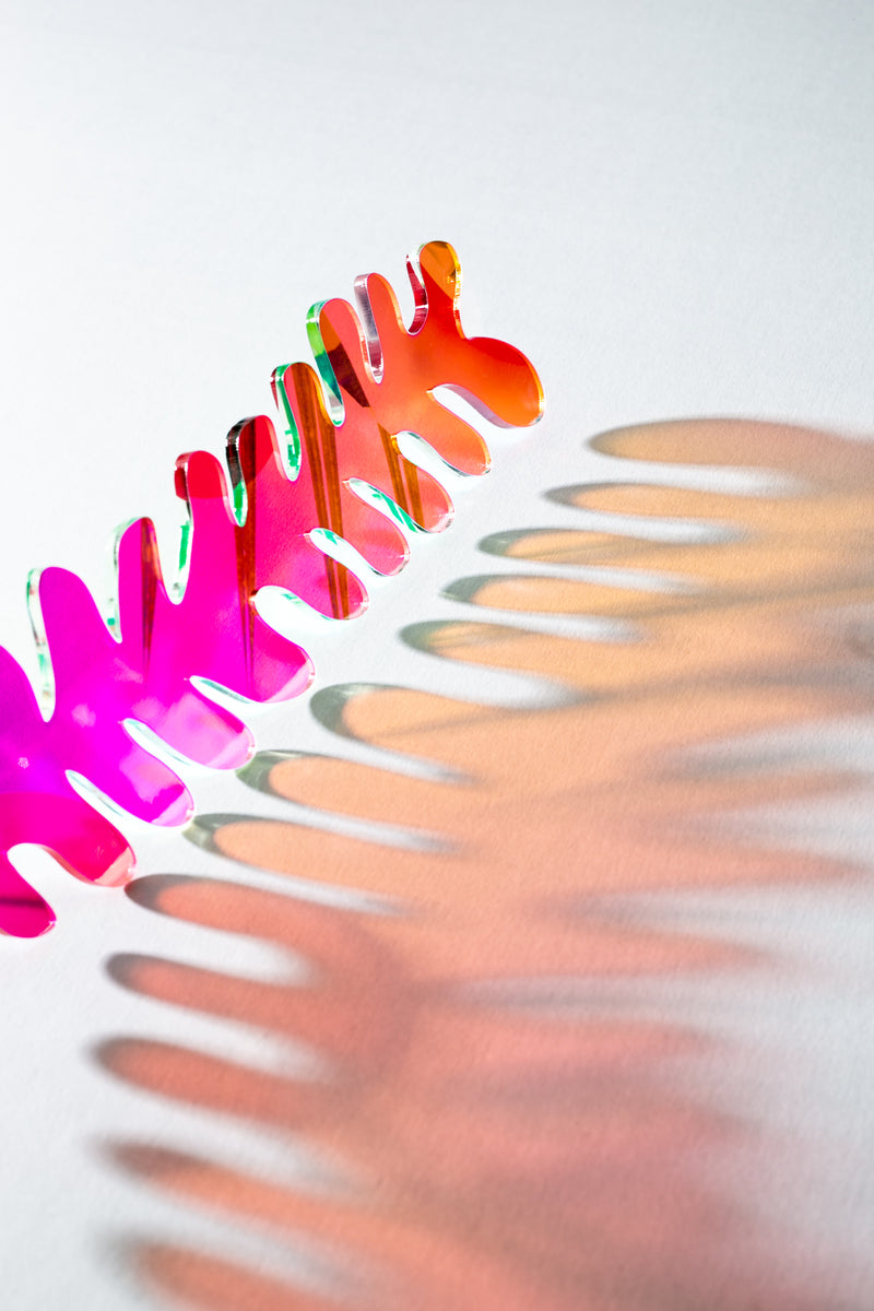 Squiggly Fern