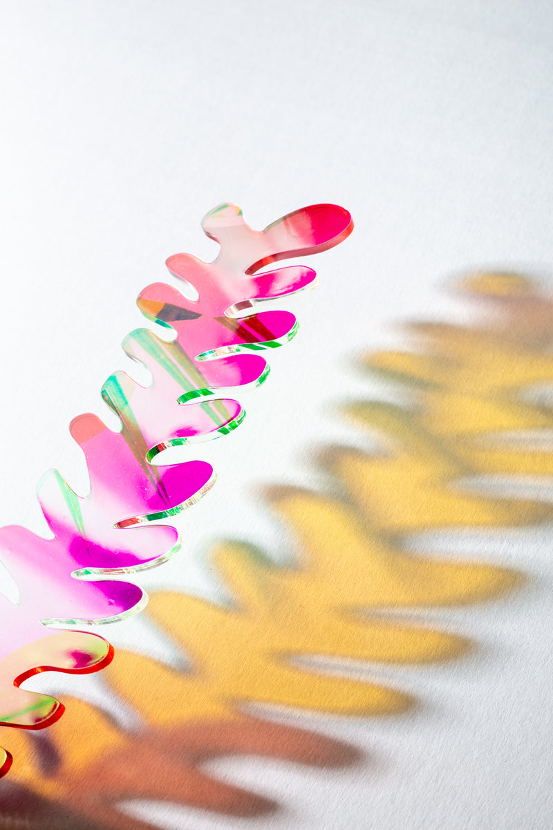 Squiggly Fern