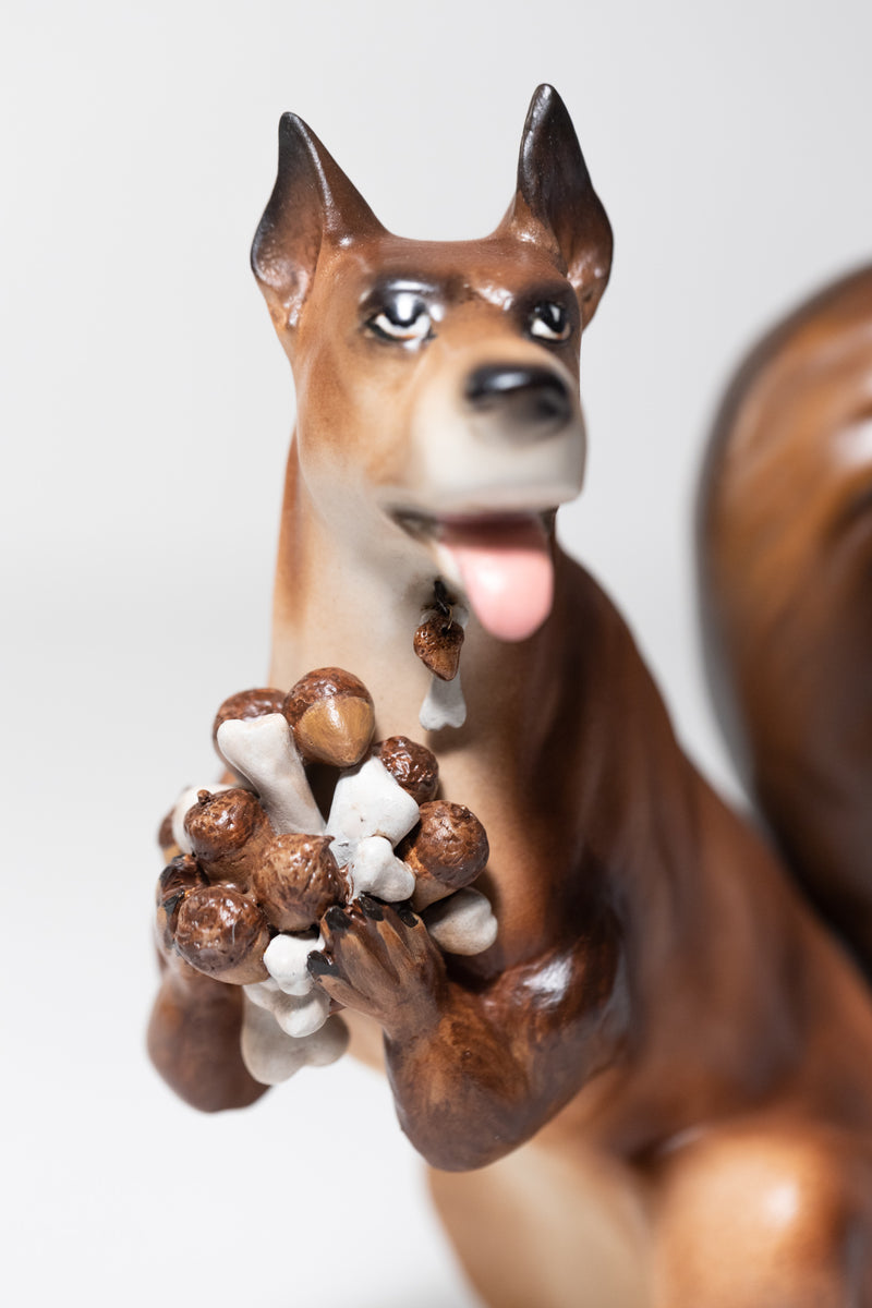 Squirrel Dog