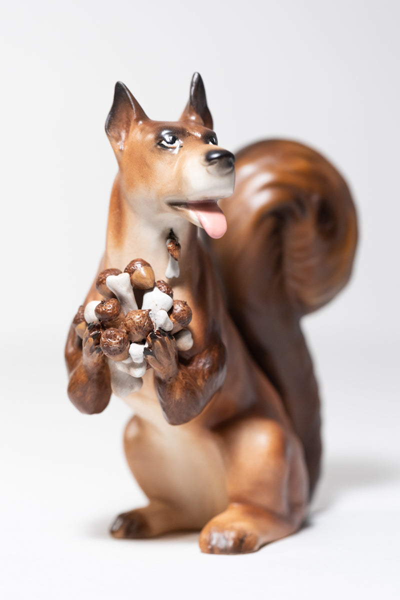 Squirrel Dog