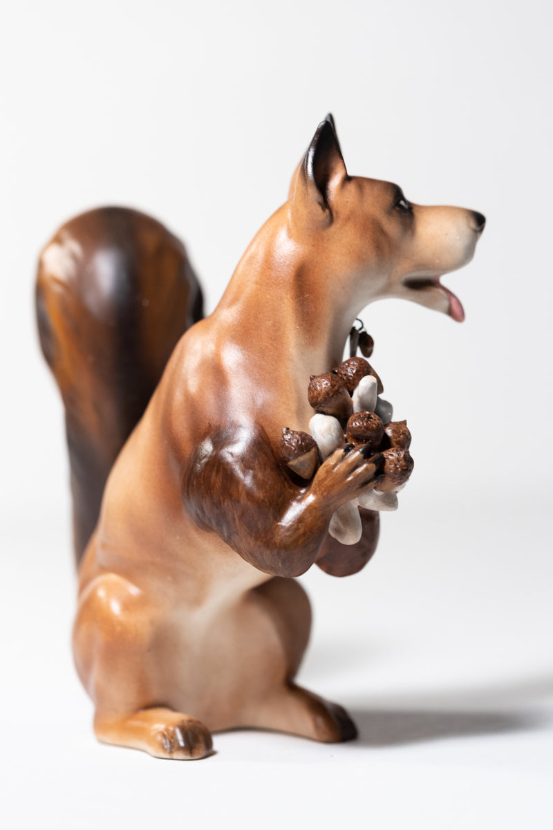 Squirrel Dog