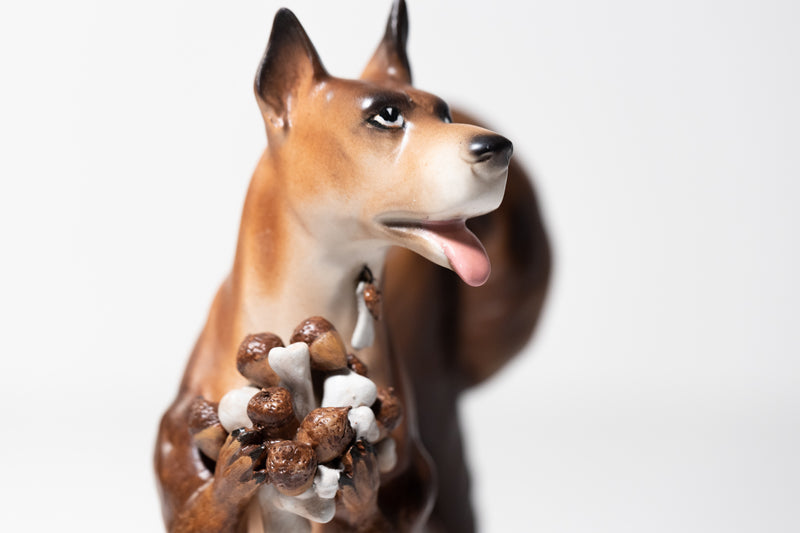Squirrel Dog