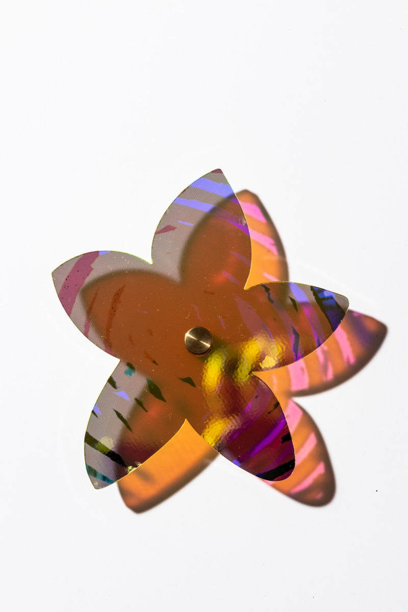 Starflower Series 4