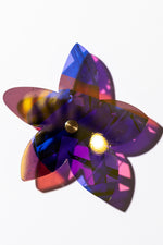 Starflower Series 5