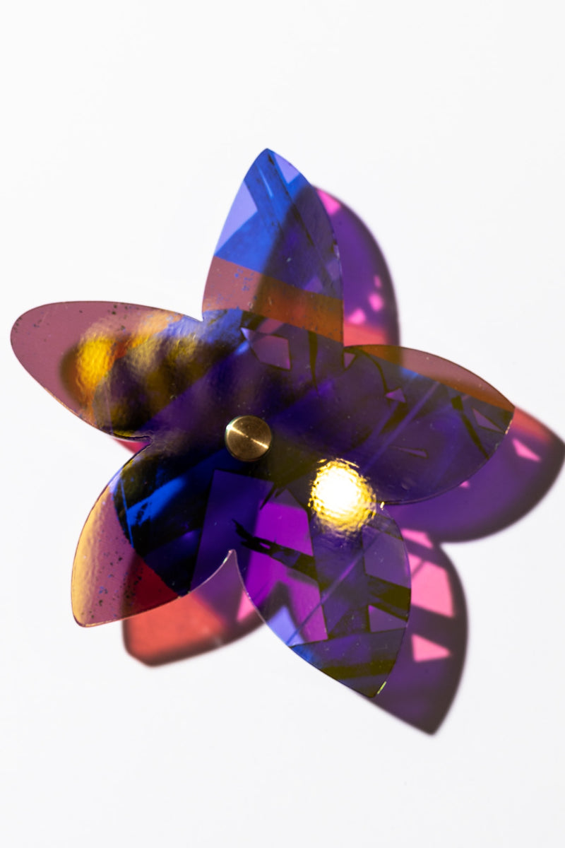 Starflower Series 5