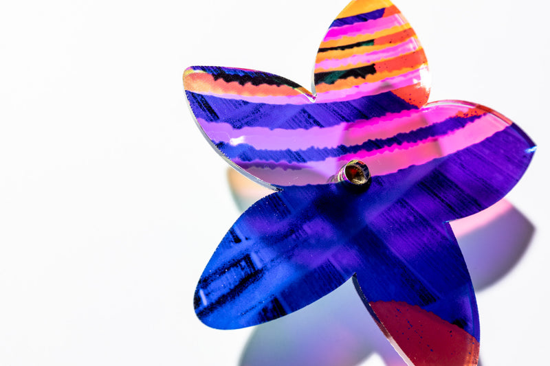 Starflower Series 1