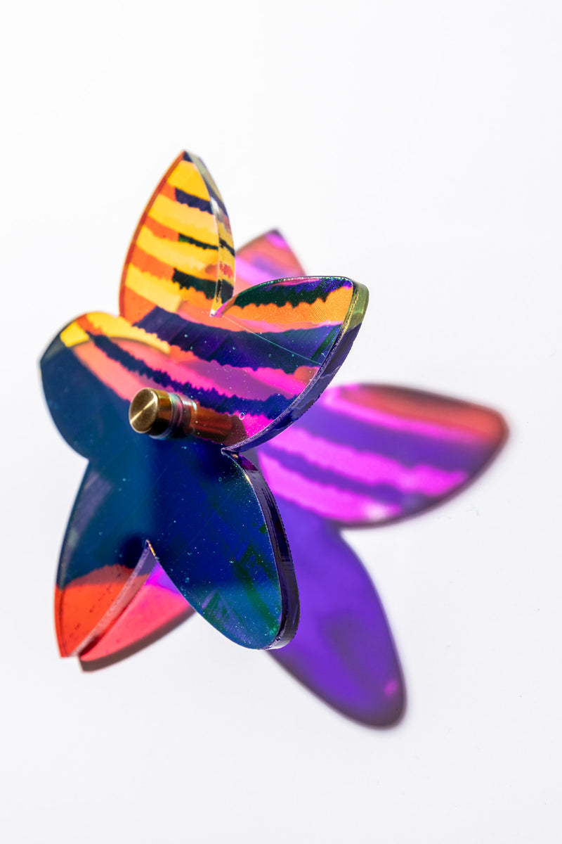 Starflower Series 1