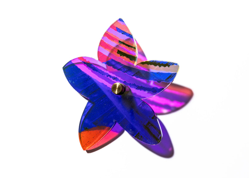 Starflower Series 1