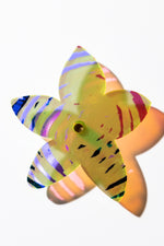 Starflower Series 4