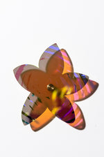 Starflower Series 4