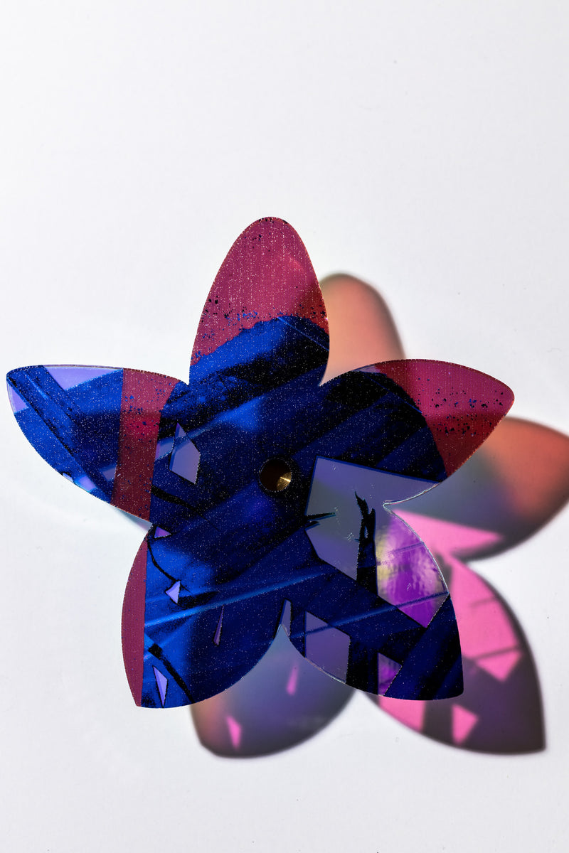 Starflower Series 5