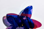 Starflower Series 5