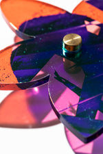 Starflower Series 5