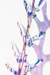 Stem