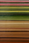 Striped Spitzweg