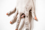 The Long Arm Reaches Out: Hands and Feet Series 26