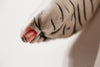 The Long Arm Reaches Out: Hands and Feet Series 30