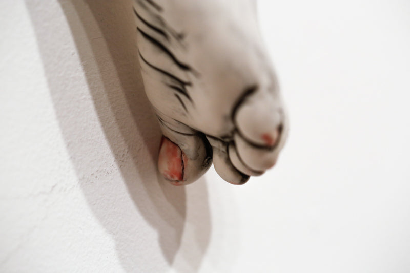 The Long Arm Reaches Out: Hands and Feet Series 55