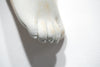 The Long Arm Reaches Out: Hands and Feet Series 63