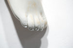 The Long Arm Reaches Out: Hands and Feet Series 63