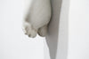 The Long Arm Reaches Out: Hands and Feet Series 66
