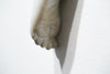 The Long Arm Reaches Out: Hands and Feet Series 68