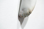 The Long Arm Reaches Out: Hands and Feet Series 68