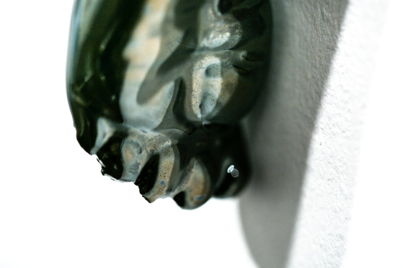 The Long Arm Reaches Out: Hands and Feet Series Chrome 10