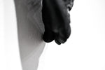 The Long Arm Reaches Out: Hands and Feet Series Matte Black 5