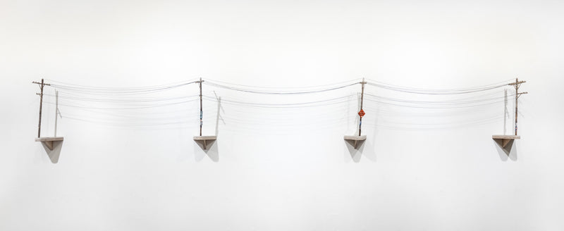 Telephone Lines